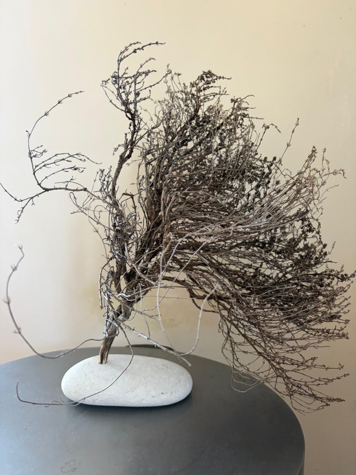 Creation by Maria Eleni and Laurent Dastakian 1