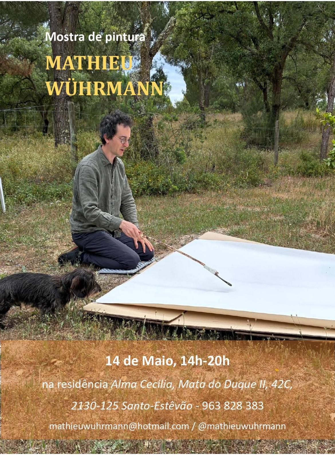 Cartaz de Exposição Mathieu Würhmann